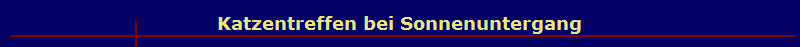 Katzentreffen bei Sonnenuntergang